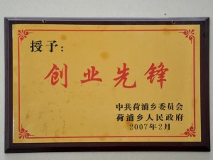 2007创业先锋